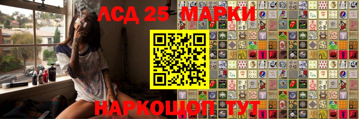 APVP Бердск