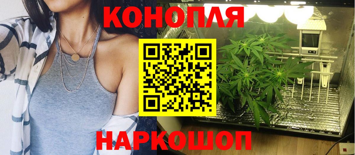 Шишки марихуана план Бердск